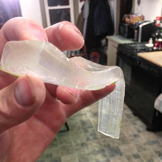 Nomizota Aloe vera lapa Autors: Vsauce Nedaudz interesanti