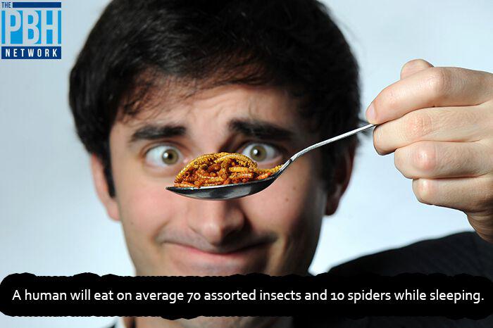 Cilvēks miegā apēd ap 70... Autors: Vsauce Interesanti fakti