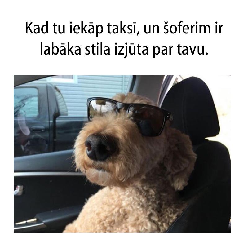 Autors: matilde 15 patiesi joki, kurus sapratīs tie, kas ikdienā brauc ar taksi