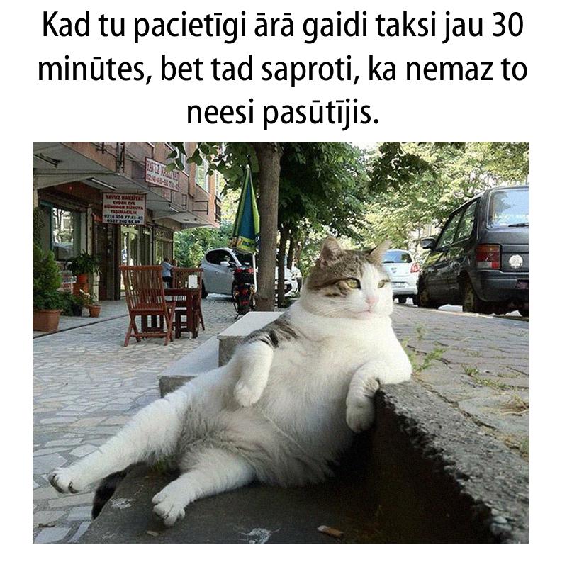 Autors: matilde 15 patiesi joki, kurus sapratīs tie, kas ikdienā brauc ar taksi