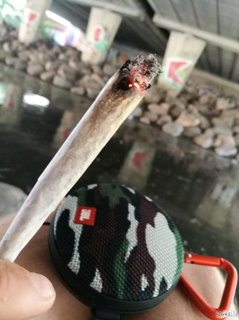 Autors: cakiits Narkotikas ir viņa dzīvē jeb medicīna ikdienai.