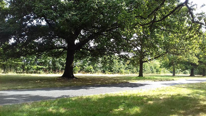 Autors: Griffith Jūlija beigas, UK, Malvern. Karstuma viļņa pēdas.