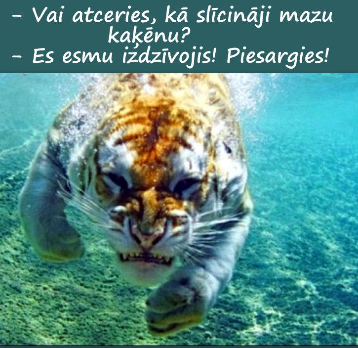 Autors: rasiks Kad gribas smaidīt, bet nav par ko