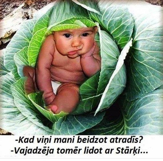 Autors: rasiks Kad gribas smaidīt, bet nav par ko (2.)