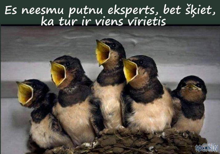 Autors: rasiks Kad gribas smaidīt, bet nav par ko (3.)