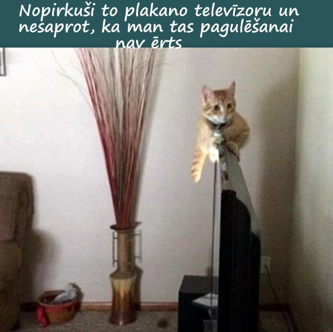 Autors: rasiks Kad gribas smaidīt, bet nav par ko (4.)