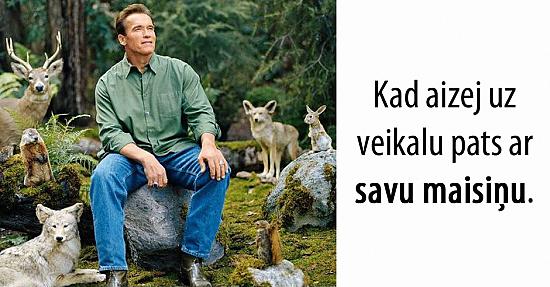 12 jociņi, kurus sapratīs TIKAI vegāni un dzīvnieku mīļi
