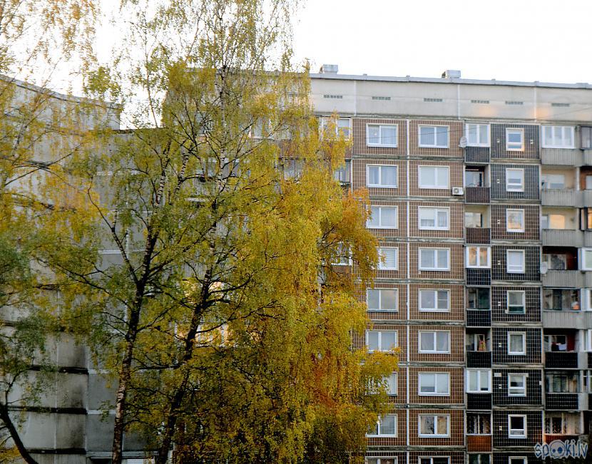 Autors: Strāvonis Rīga, mikrorajons