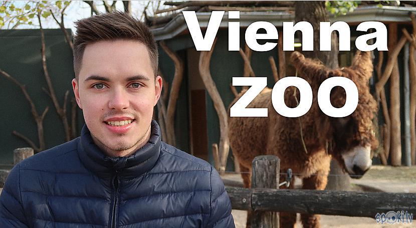 Autors: Sviesturs No Gruzijas uz Vīni | Vienna, Austria ZOO 2018