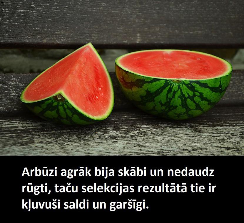 Autors: Lestets 11 nejauši fakti