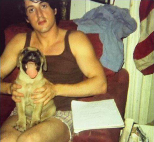 Silvestrs Stallone kādreiz... Autors: LedusTēja 25 pārsteidzoši fakti par slavenām filmām un aktieriem, kurus mēs pat nenojautām