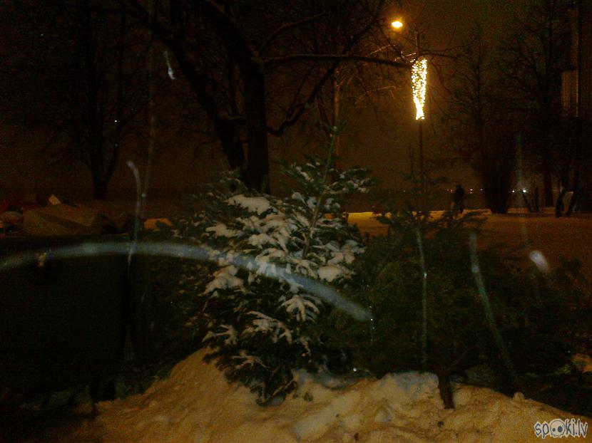 Autors: ezkins Ak, eglīte...