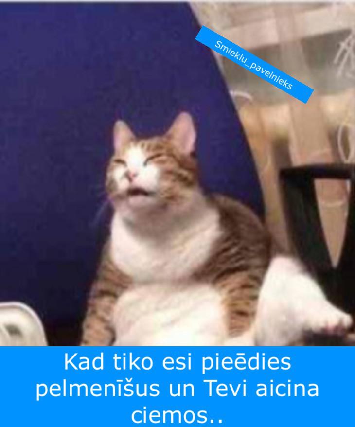 Autors: Charged Joku izlase: Smaids rada smaidu