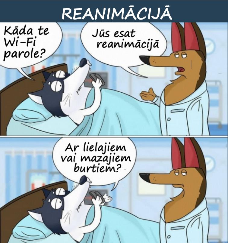 Autors: rasiks Apsmaidāmas ainiņas no dzīves