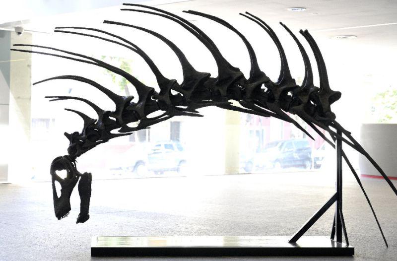 Dinozaura nosaukums ir... Autors: Bezjēdzīgais Atklāts jauns dinozaurs