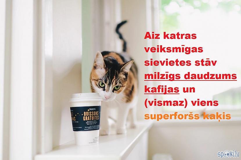 Spoki joko