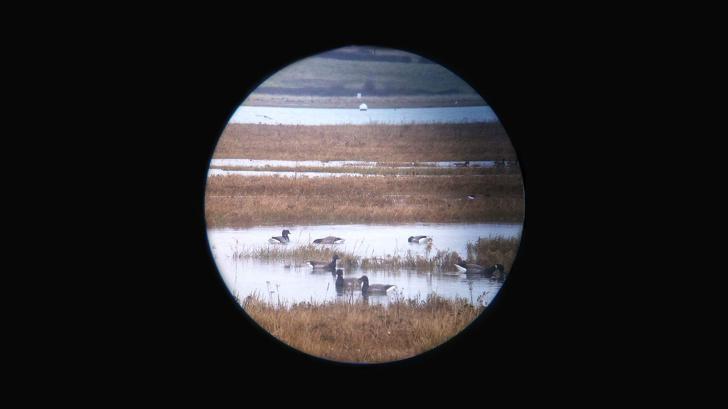 Jupiters scaronodien... Autors: Lestets Fotogrāfijas, kas pārvēršas meistardarbos, ja tām pievieno īsto virsrakstu