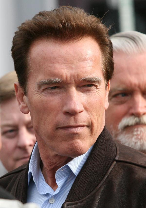 Arnolds... Autors: ĶerCiet Pasaulē dārgākie slavenību skandāli