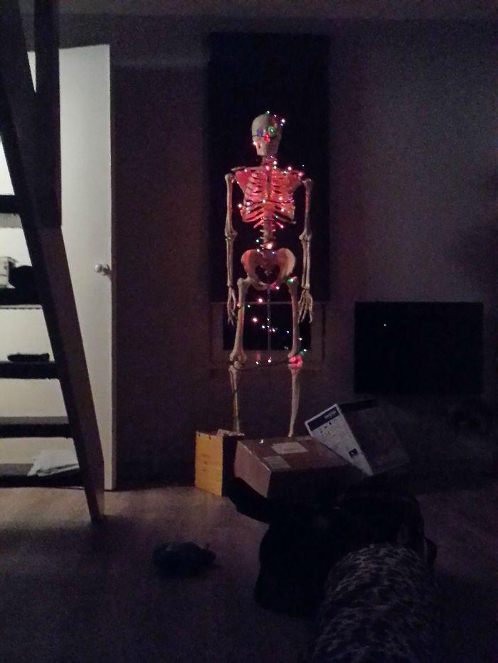 Tas noteikti ir anatomijas... Autors: Latvian Revenger 13 reizes, kad cilvēki ir bijuši īpaši slinki, gatavojoties Ziemassvētkiem