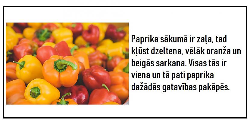 Autors: The Diāna 10 fakti, kurus Tu noteikti nebūsi dzirdējis