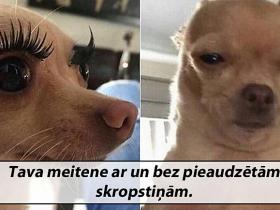 Smieklīgi attēli pirmdienai!