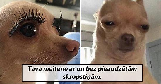 Smieklīgi attēli pirmdienai!