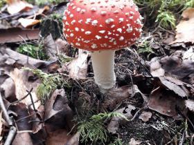 2018. gada atvaļinājums, 12. septembris.