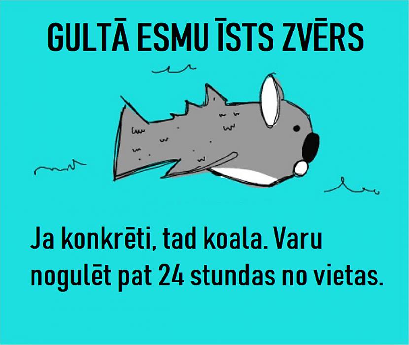 Autors: The Diāna Memes par ZIVĪM