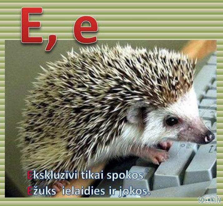 Egocentrisks spokos skats... Autors: rasiks Alfabēts jaunākā ietērpā (A-Ē)