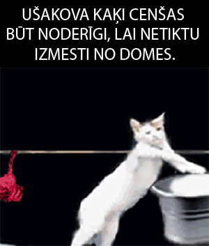 Autors: Dzerbudists Noskaidroti patiesie Ušakova atstādināšanas cietušie