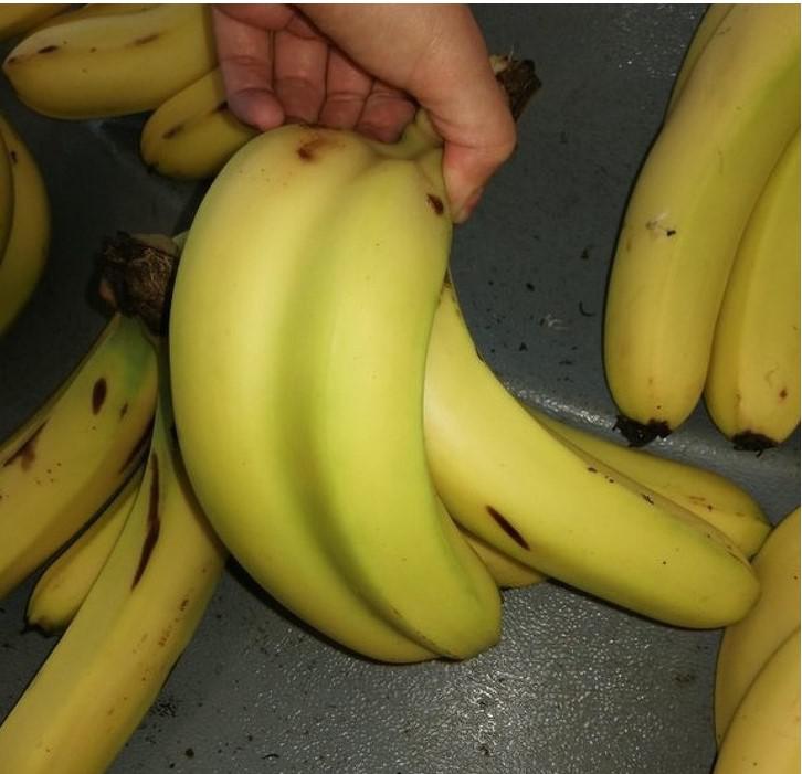 Zero waste no pascaronas... Autors: The Diāna 21 skaists attēls, ko redz tikai vienu reizi dzīvē