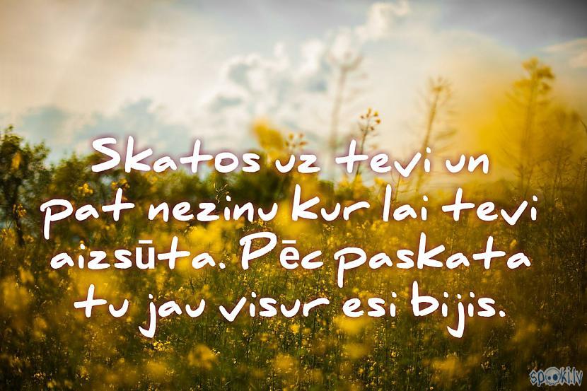 Spoki joko