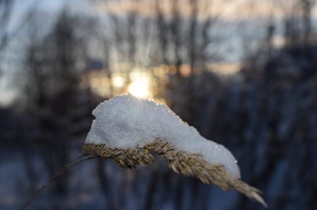 Nikon D5300 Autors: Kaily Mazais hobijs.