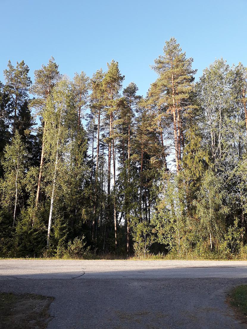 Autors: Griffith 2018. gada atvaļinājums, 14. septembris. Pēdējā daļa.