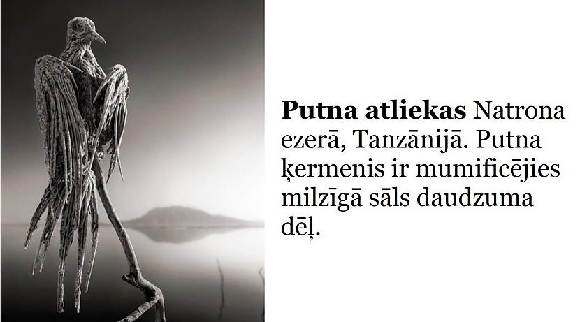 Autors: The Diāna Izglītojies: 10 attēli, kuri padarīs tevi mazliet gudrāku