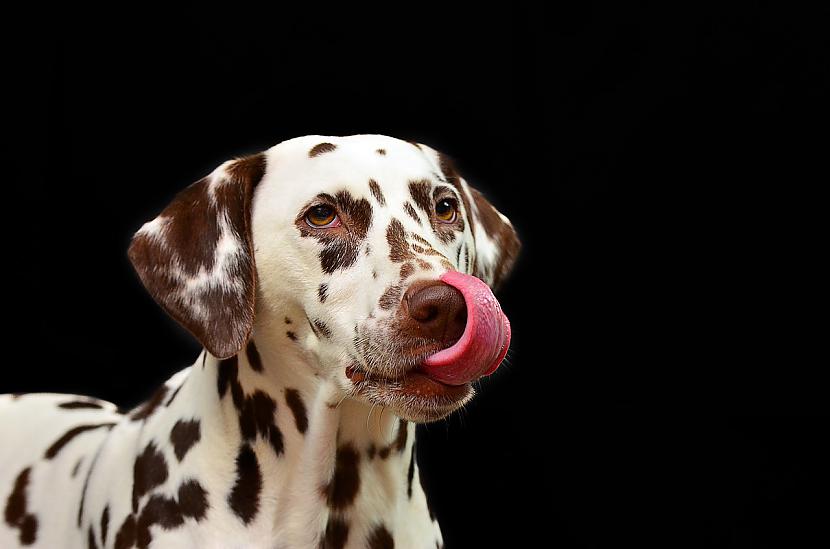 1nbspnbsp nbspVienīgā... Autors: The Diāna Fakti, kurus tu zināji, bet par kuriem nebiji aizdomājies