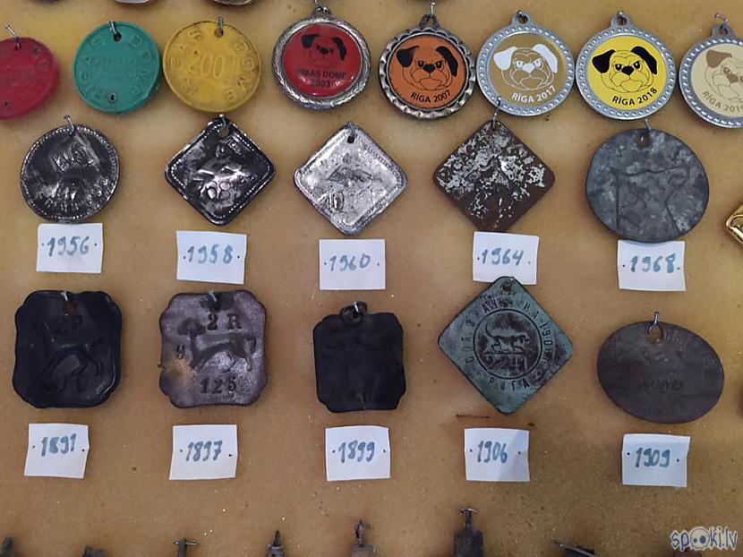 Autors: SalvatoreMundi Mana suņu žetonu kolekcija.