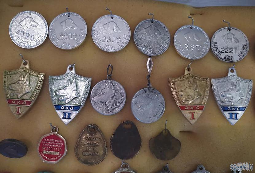 Autors: SalvatoreMundi Mana suņu žetonu kolekcija.