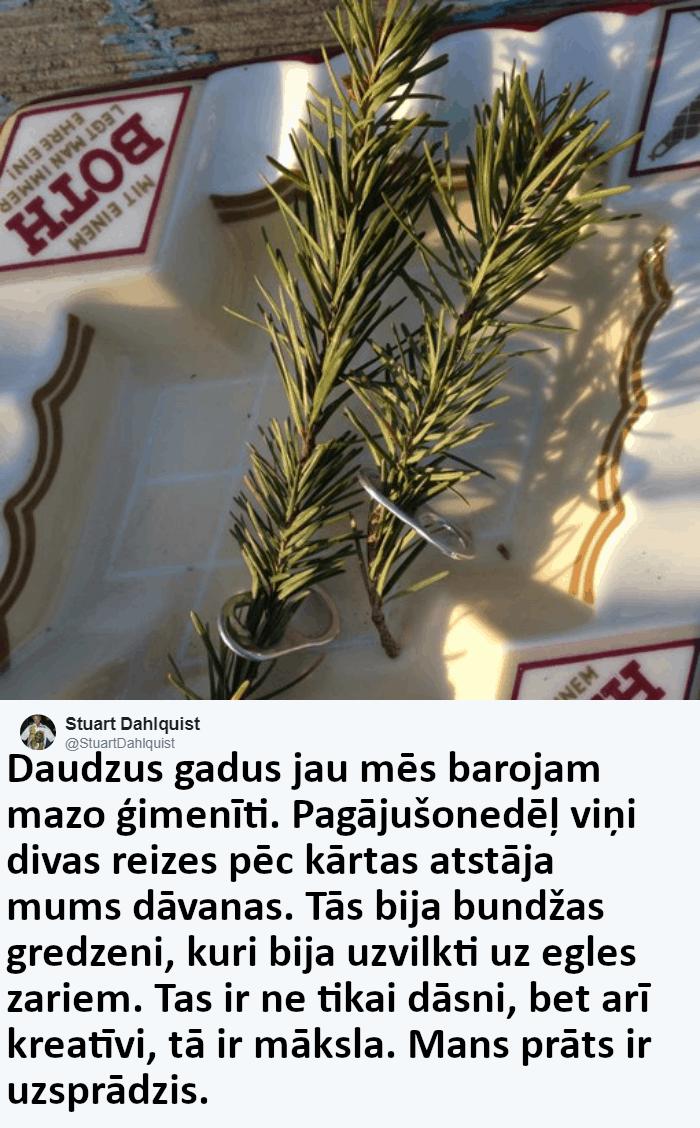 Vai jūs varat iedomāties... Autors: nikrider Vīrietis 4 gadus baroja vārnu ģimeni, un viņi atnesa viņam noslēpumainu dāvanu