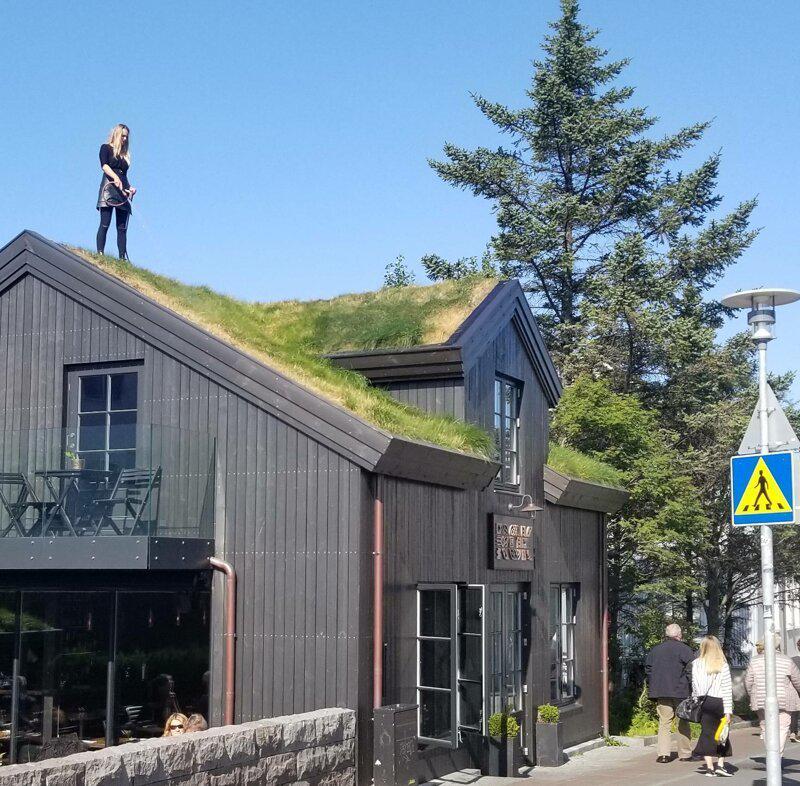 nbspLabākai siltumizolācijai... Autors: matilde Interesantas un amizantas lietas, kuras var redzēt tikai Īslandē