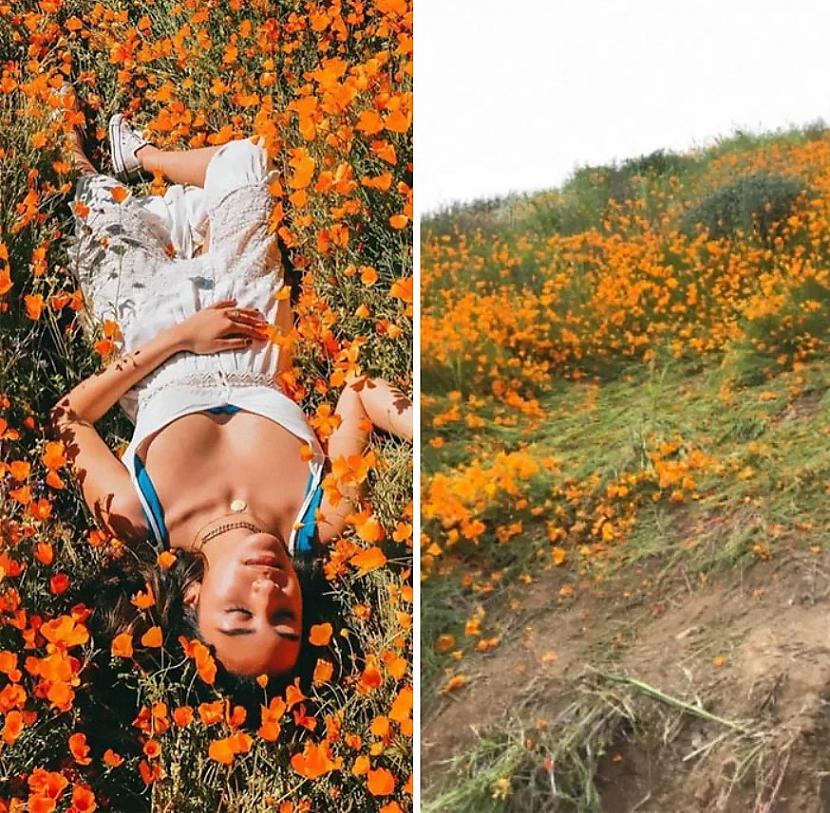 Dažreiz perfektās bildes dēļ... Autors: The Diāna Instagrams un realitāte: cik atšķirīgas tomēr ir šīs pasaules?