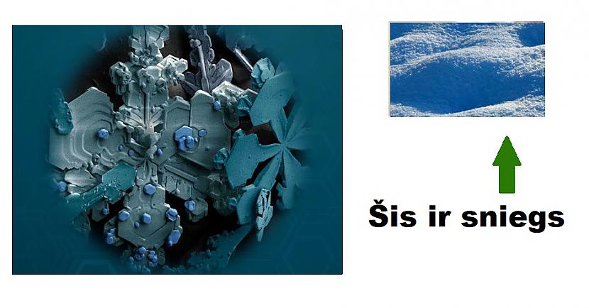 Autors: The Diāna Interesanti: Kā lietas izskatās zem mikroskopa?