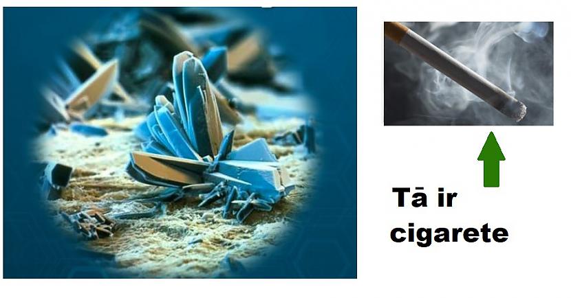 Autors: The Diāna Interesanti: Kā lietas izskatās zem mikroskopa?