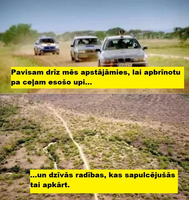 Autors: The Diāna Vai atceries ''Gāzi Grīdā''? Apskati šos citātus!