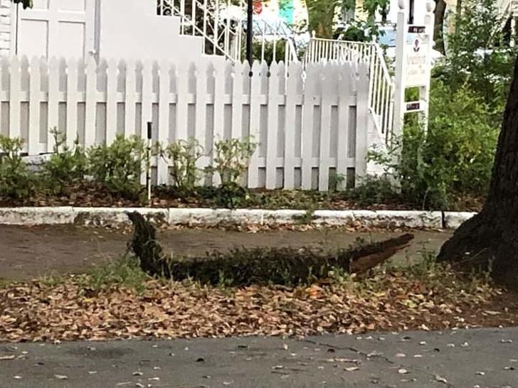 nbspNokritis zars kas... Autors: Lestets 17 fotogrāfijas, kas parāda, ka pasaulē vēl ir daudz kā pārsteidzoša