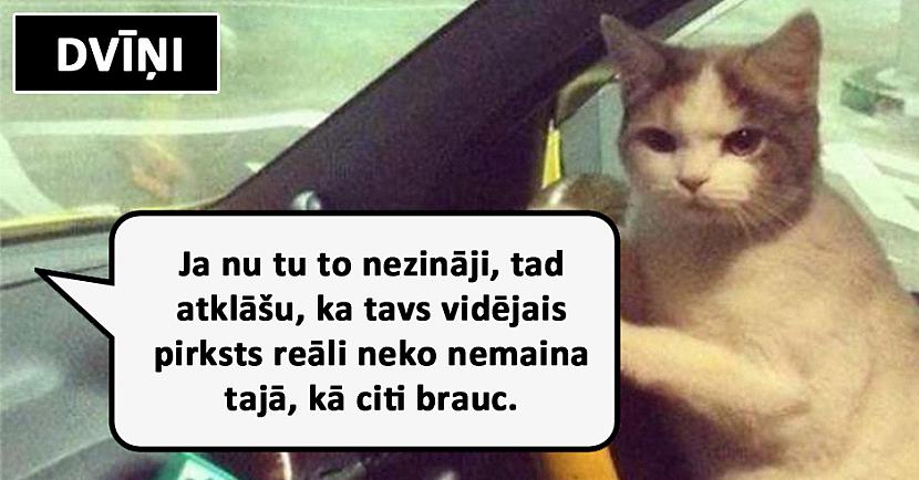 Autors: matilde Lūk, kā automašīnu vada dažādas zodiaka zīmes