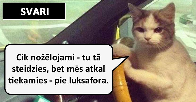 Autors: matilde Lūk, kā automašīnu vada dažādas zodiaka zīmes