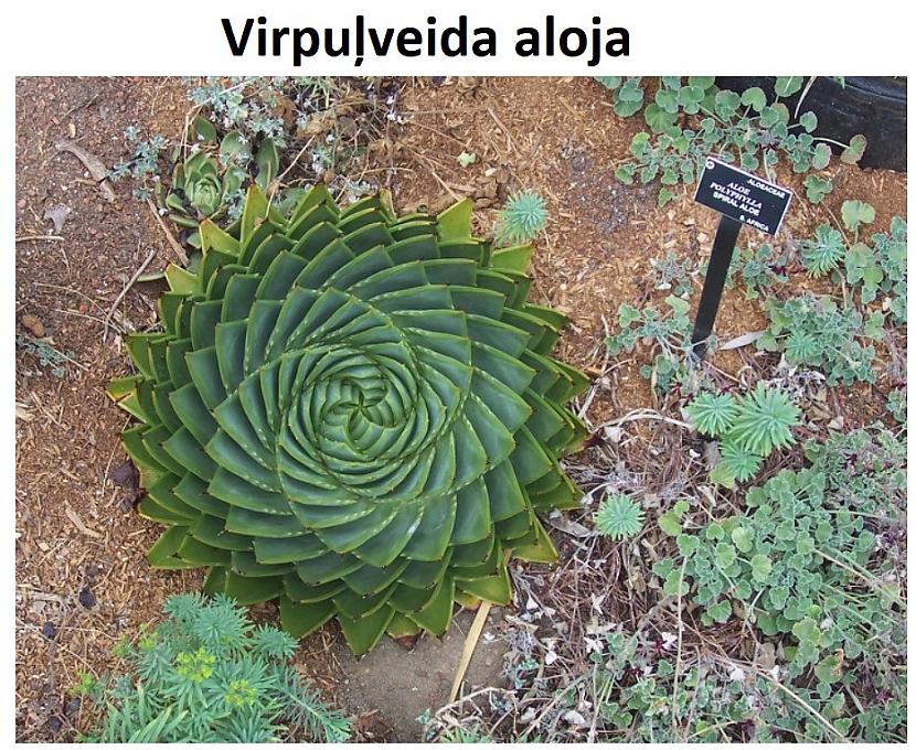 Autors: The Diāna 15 attēli, kuri parāda, ka pasaule ir apbrīnojama vieta