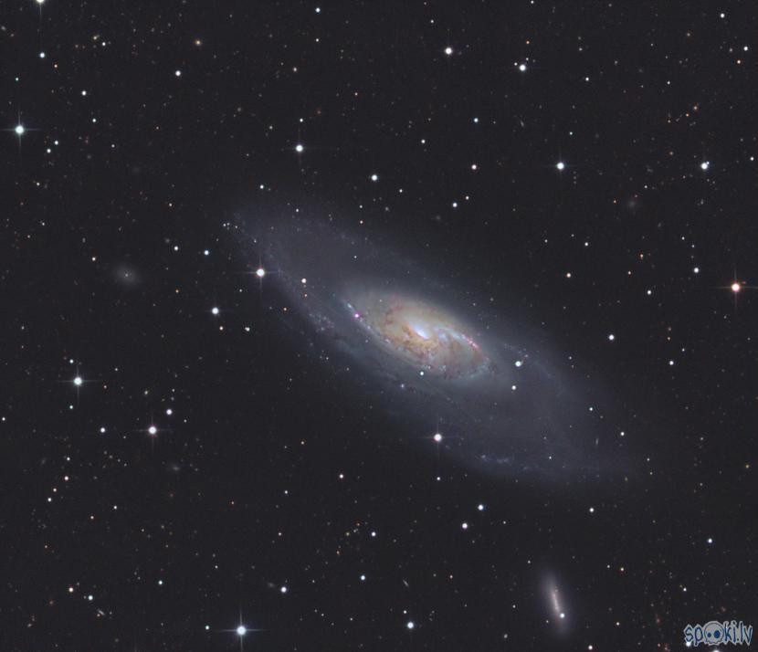 M106 arī spirālveida... Autors: peleks Astrofotogrāfēšana 3.daļa