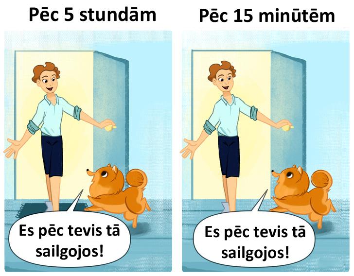 nbspUn tikai suns spēj... Autors: matilde 10 patiesi komiksi par suņu saimniekiem